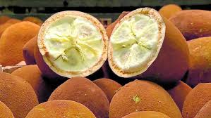 Que Alimento é Esse? Cupuaçu - Sustentarea