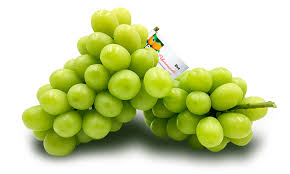 APPC – Cooperativa Agroindustrial