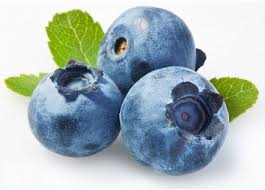 Mirtilo Ou Blueberry - Lindas Mudas - bhmudas