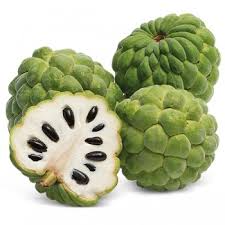 MUDA DE PINHA (FRUTA DO CONDE) - Asplantas Online