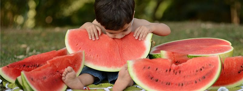 nutricionistavivinogueira album-4