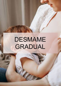 desmame gradual