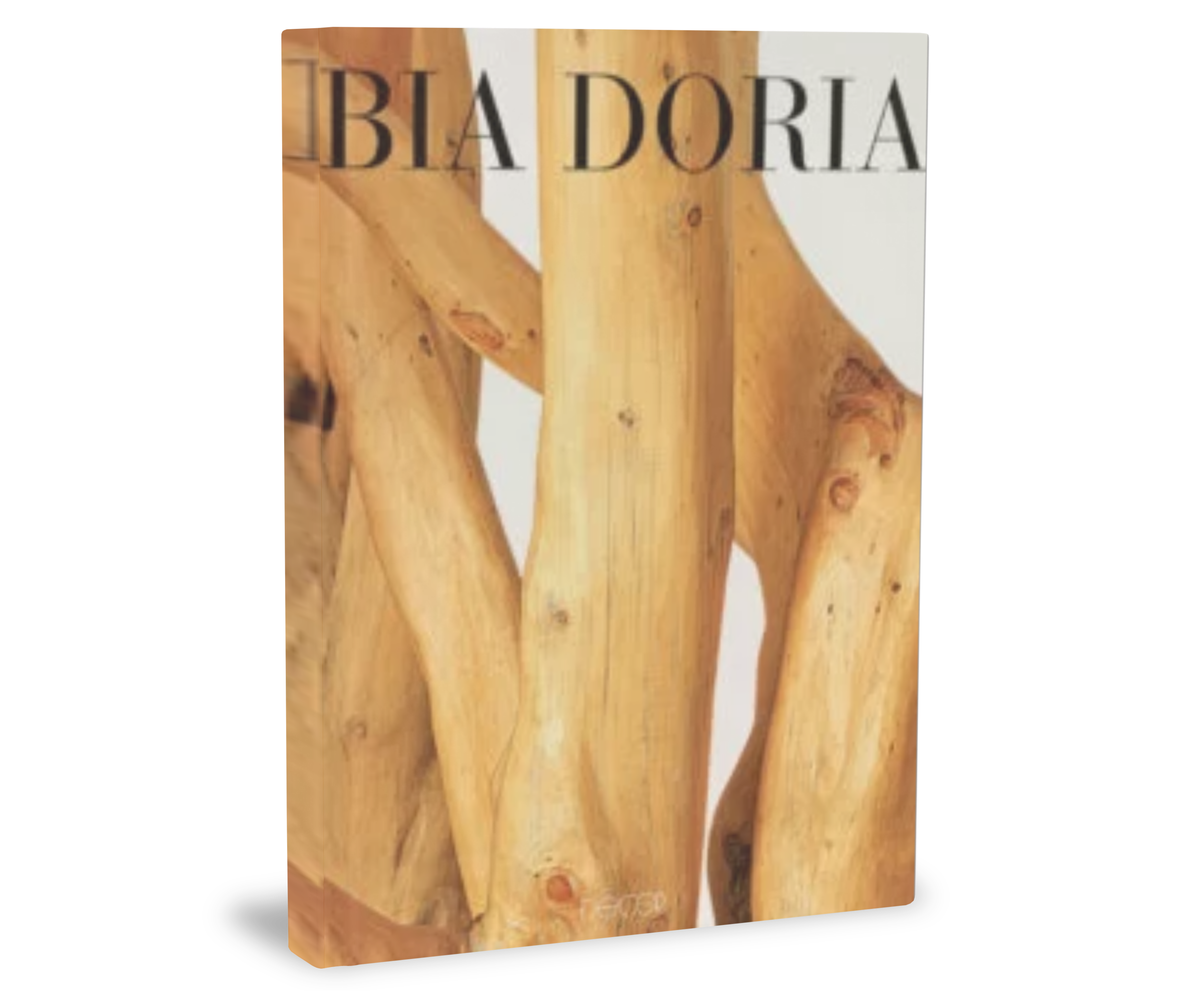 Lançamentos do Livro Bia Doria