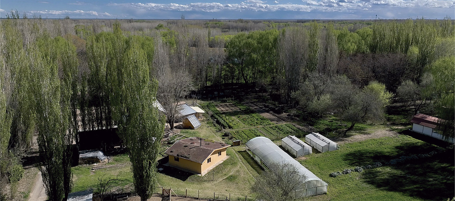 Chacra JANUS desde drone