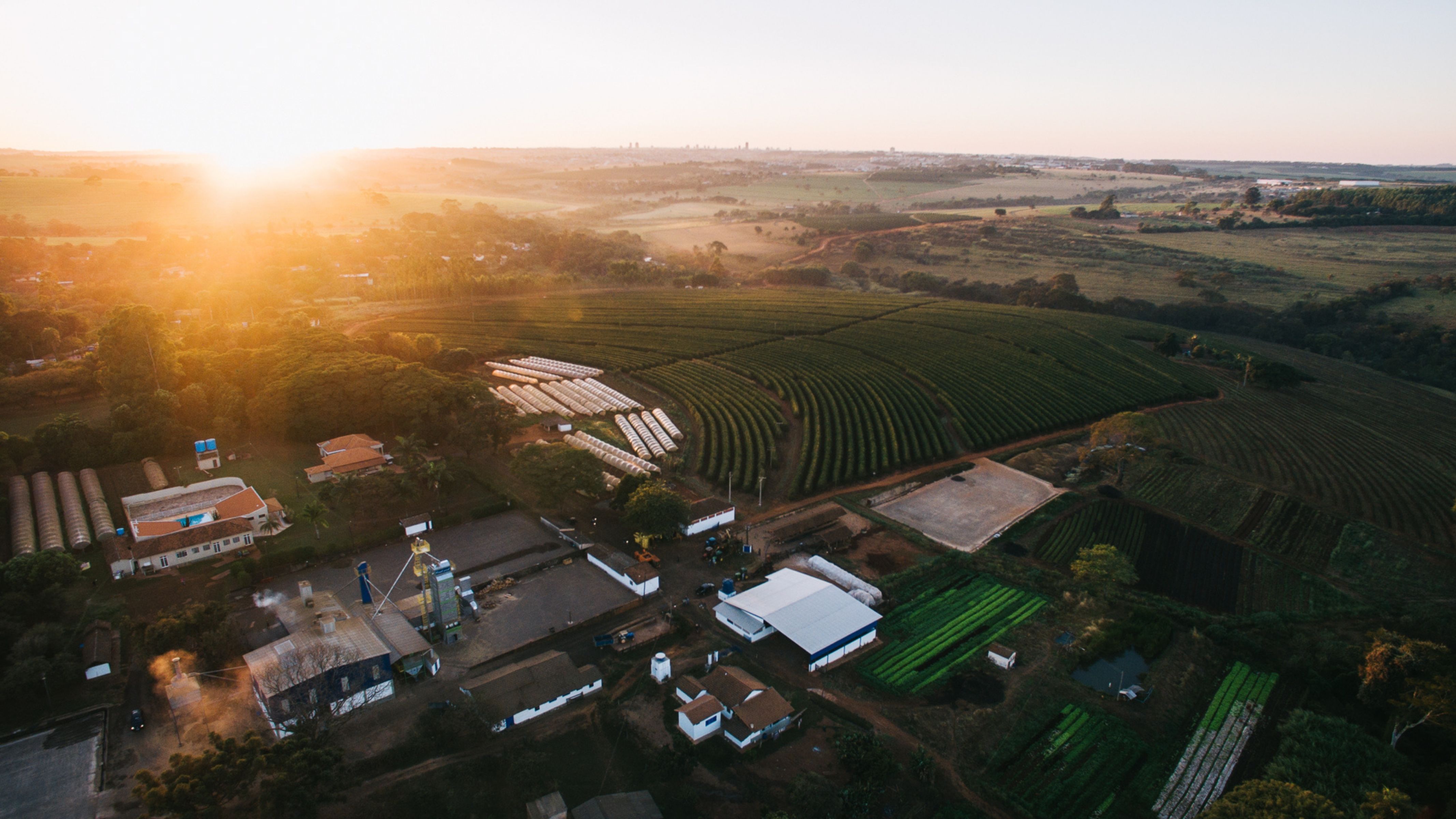 fazenda-cafe-especial-vista-aerea-paisagem-pôr-do-sol-producao-sustentavel.jpg