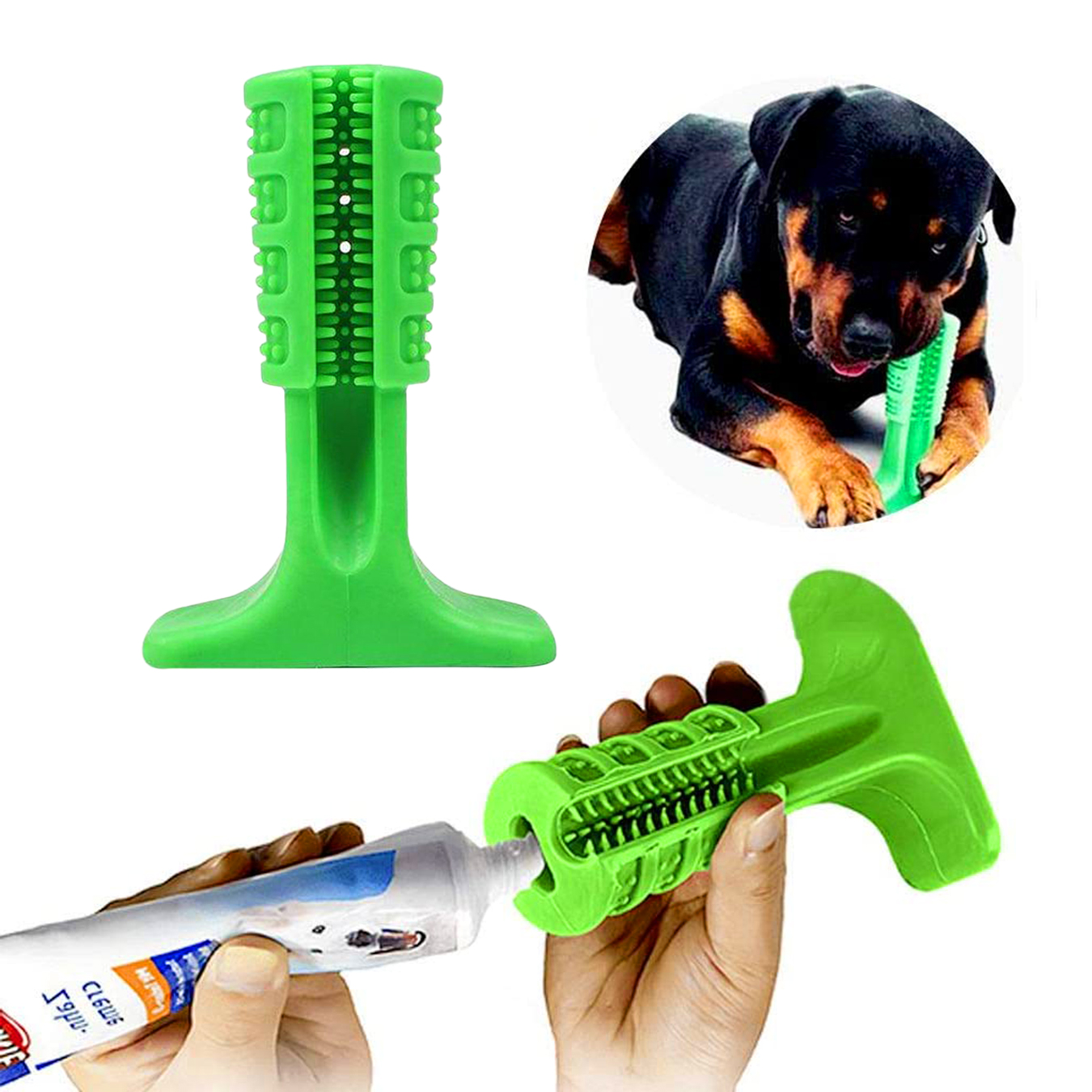 Brinquedo Mordedor Escova De Dente Para Cachorro