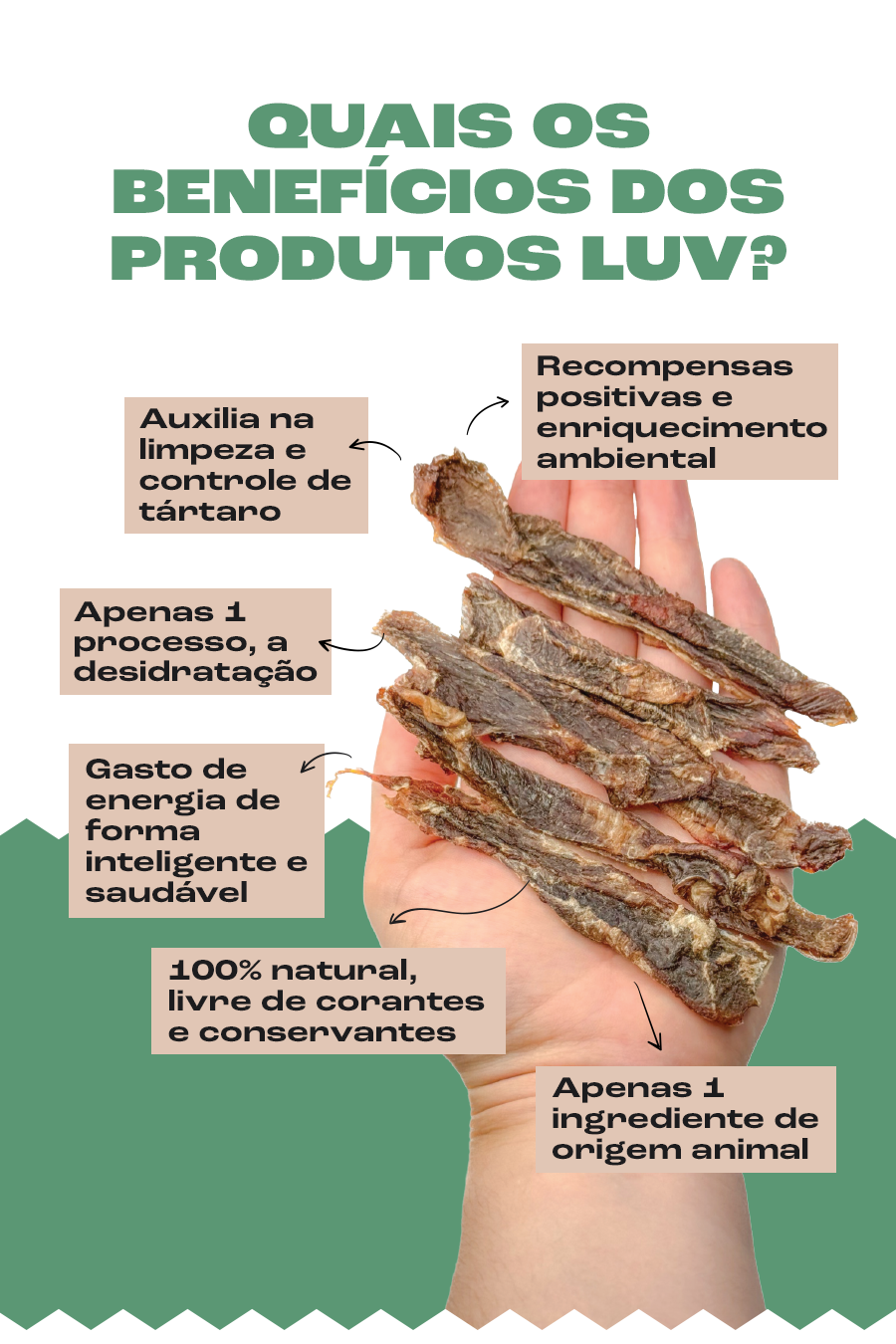 Banner de Luv Petiscos Naturais