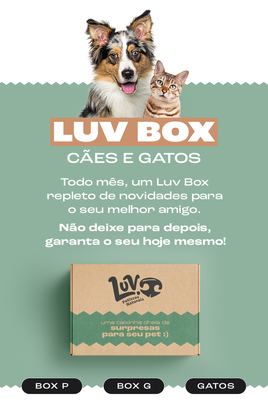 Tempero Natural de Boi 100g - Luv Petiscos Naturais