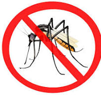 Islândia é o único país do mundo que não tem mosquitos ...