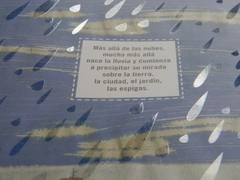 Ver llover - comprar online