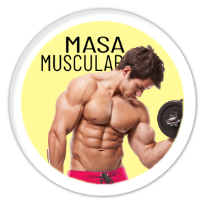 Este suplemento natural es ideal para aumentar la masa muscular, incrementar la recuperación muscular en hombres y mujeres.