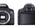 Anuncian la Canon EOS Rebel T8i &ndash; la DSLR de nivel b&aacute;sico ...