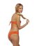 CORPIÑO - ZINNIA COD C303 - comprar online