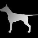DogPro