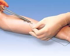 Brazo de prácticas para suturas quirúrgicas