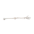 Modelo óseo de Brazo Humano