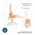 PIE y Tobillo con ligamentos con Soporte Desmontable - comprar online