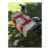Canasto de bici en internet