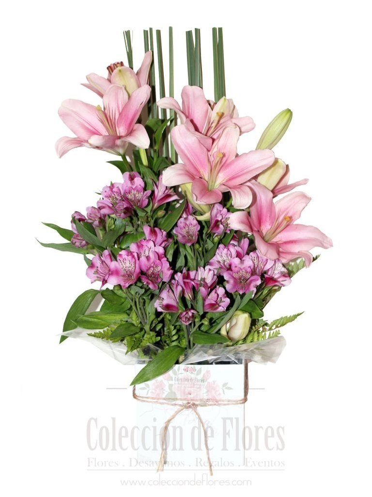 Liliums y Alstroemerias en caja - Colección de Flores