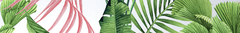 Banner de la categoría Botanicos