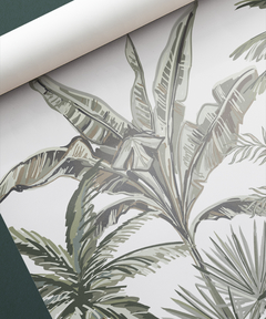 PALMERAS Y BANANO - tienda online