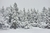 Invierno - comprar online