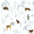 Animales patagonia