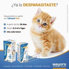 El Toltrazol Plus en suspensión para gatos es un antiparasitario interno con acción Coccidicida, Ascaricida, Trichuricida, Ancylostomicida y Giardicida.