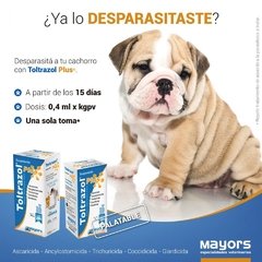 El Toltrazol Plus en suspensión para perros es un antiparasitario interno con acción Coccidicida, Ascaricida, Trichuricida, Ancylostomicida y Giardicida.