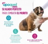 Apoquel es un medicamento veterinario que se utiliza para tratar el prurito (picor) asociado a la dermatitis alérgica (inflamación de la piel) así como la dermatitis atópica en perros.