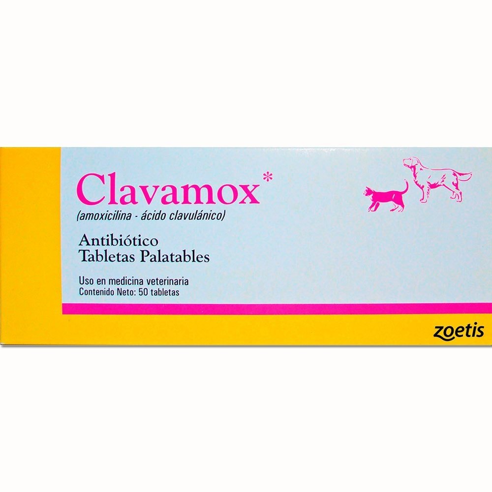 amoxicillin como comprar