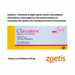 Clavamox 250 mg antibiotico en tabletas palatables en internet