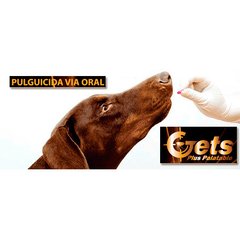 Gets Plus tabletas palatables antipulgas es una tableta de administración oral para el control de las pulgas de sus perros