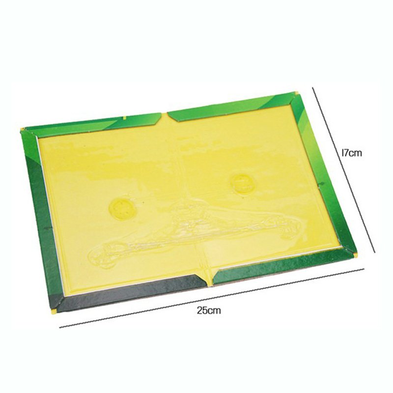 https://d2r9epyceweg5n.cloudfront.net/stores/019/016/products/glue_trap_mousse_rat_abierto_web-8032cc78b733f0280a15121891837931-1024-1024.jpg