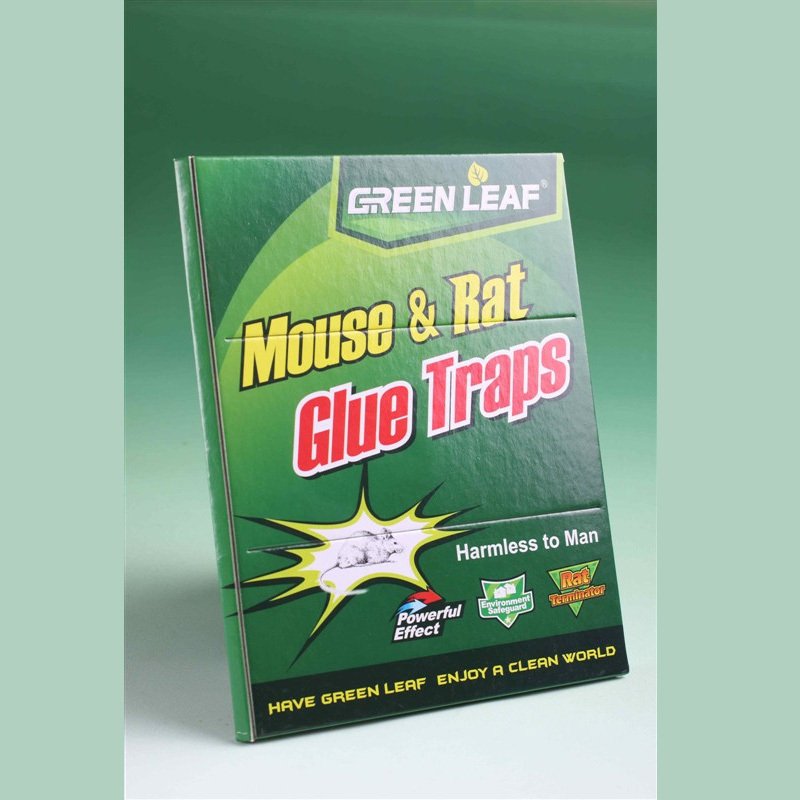 Glue Traps - Trampas de pegamento adherente para ratas y ratones
