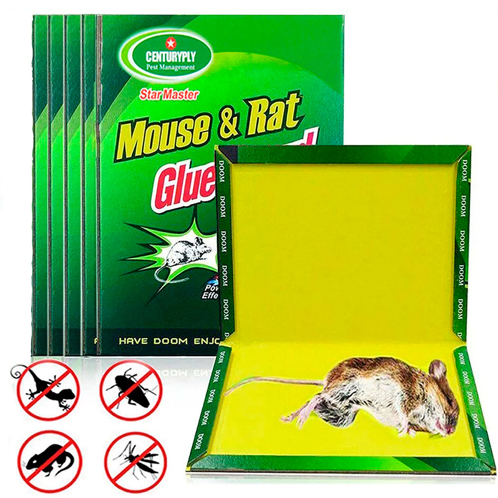 Catchmaster Trampas de pegamento para ratas y ratones con masilla adhesiva,  2 unidades, trampas grandes para ratas de pegamento a granel, trampas para