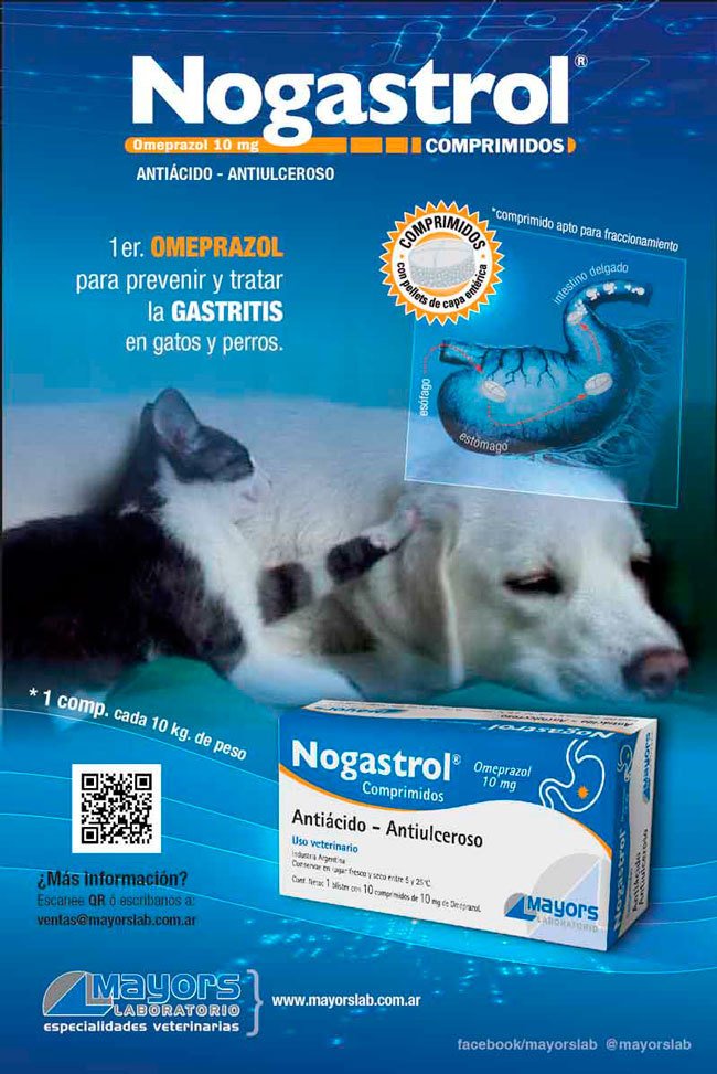 Nogastrol antiacido - antiulceroso omeprazol - Uso veterinario