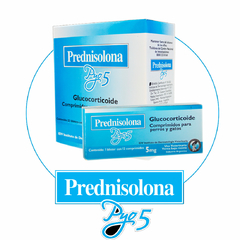 Prednisolona Pyo 5 glucocorticoide - antiinflamatorio en comprimidos para perros y gatos