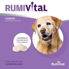 RUMIVITAL CANINOS está indicado para proteger las articulaciones por su acción condroprotectora, antiartrósica, antiinflamatoria y regeneradora