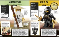 Lego Ninjago Character Encyclopedia (Updated) - comprar online