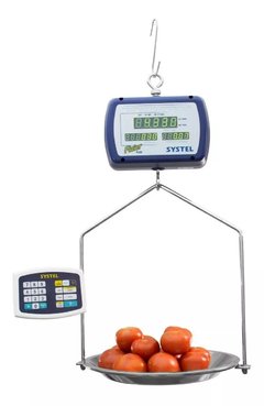 SYSTEL FLAIER PLUS 30KG X 10GR RS232
