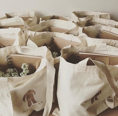Kit Iniciativa ecologica para Animal Studio - greengift