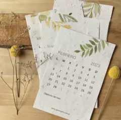 Calendario Plantable 2023 - comprar online