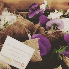 Plantines decorados con yute - BAPRO