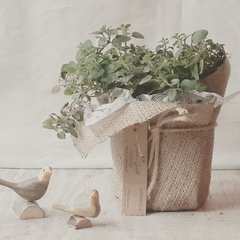 Plantín aromático decorado con yute