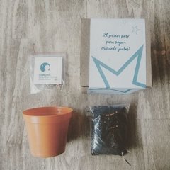 Kit de cultivo DADONE - comprar online