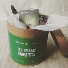 Kit Tus hierbas aromáticas NESPRESSO