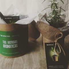 Kit Tus hierbas aromáticas NESPRESSO en internet
