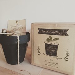Kit de cultivo con maceta pizarra - comprar online