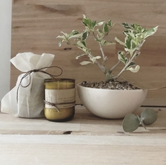 Set Bonsai y Eco vela